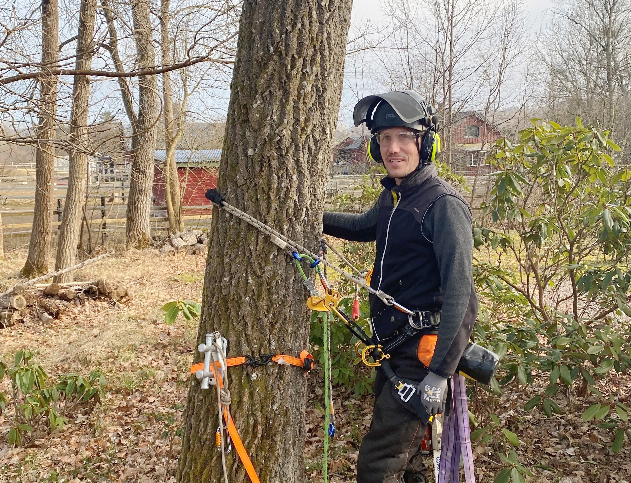 Filip - Professionell Arborist